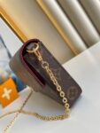 Louis Vuitton Bag POCHETTE FELICIE M61276