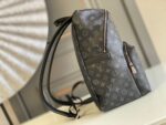 Louis Vuitton Bag Discovery  M43186