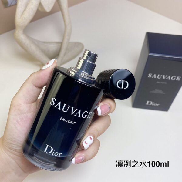 Dior Perfume Sauvage Eau Forte, 2024
