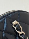 Chanel Bag  24A AS5130