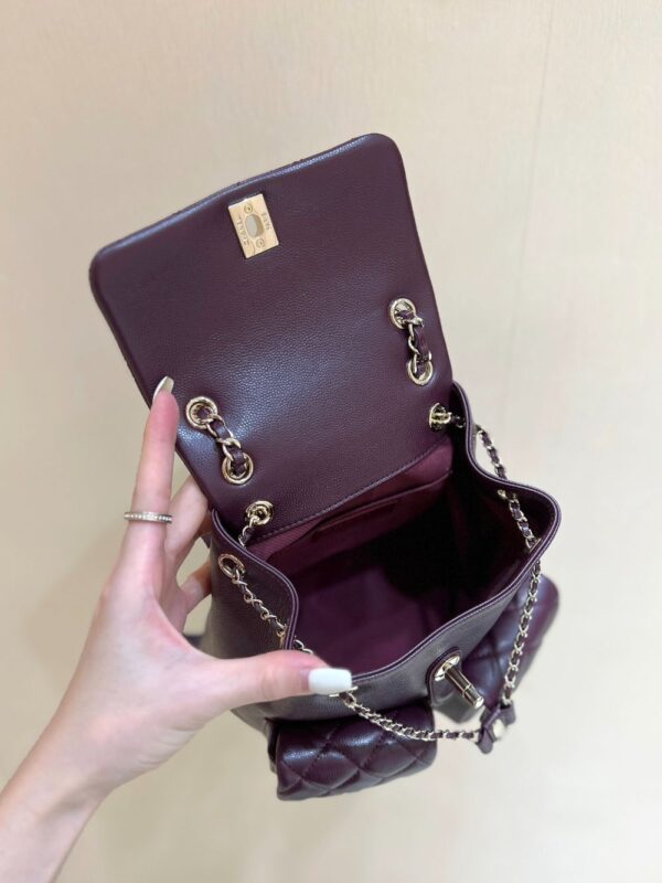 Chanel Bag Duma 24A  3787 3860