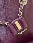 Chanel Bag Duma 24A  3787 3860