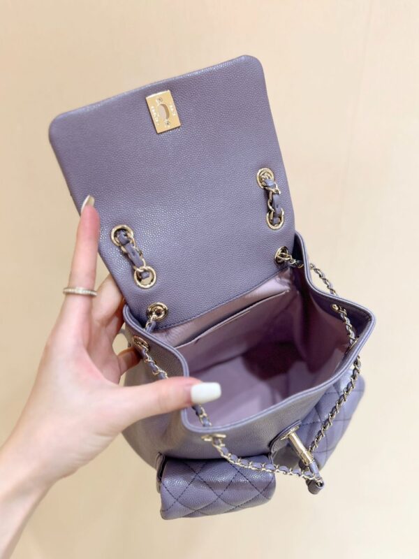 Chanel Bag Duma   3787 3860