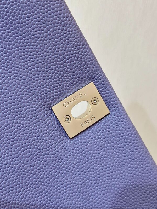 Chanel Bag Duma   3787 3860