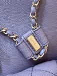 Chanel Bag Duma   3787 3860