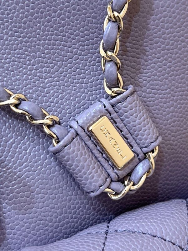 Chanel Bag Duma   3787 3860
