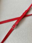 Celine Bag Bigbag bucket nano 21.5cm Red