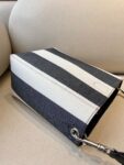 Celine Bag SANGLE BUCKET Black White Stripes