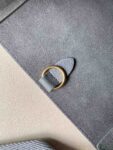 Celine Bag SANGLE BUCKET Grey
