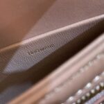 Celine Bag Triomphe Teen  666S 18.5cm  Pink