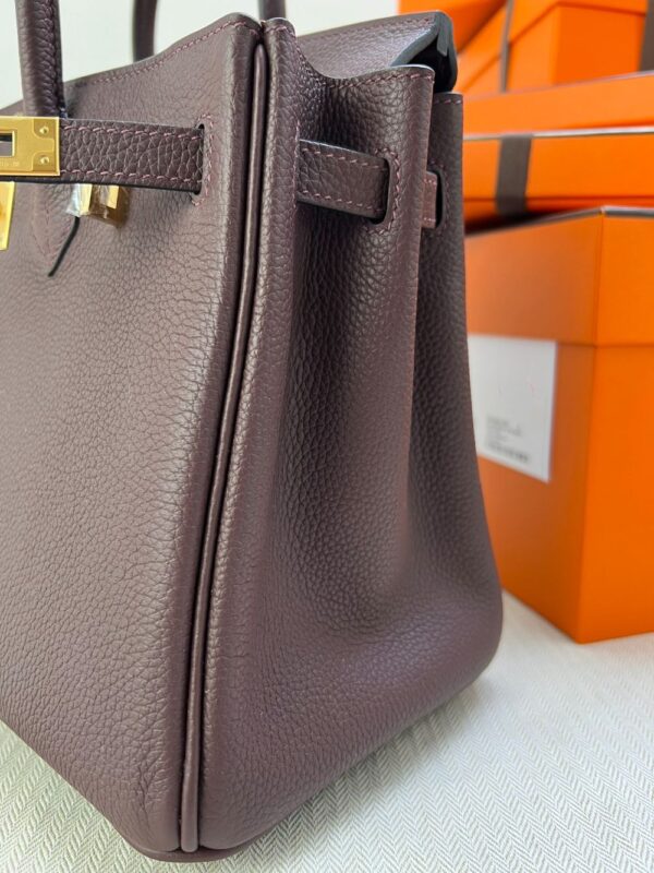 Hermes Bag Birkin  25cm*20cm*13cm Deep Red