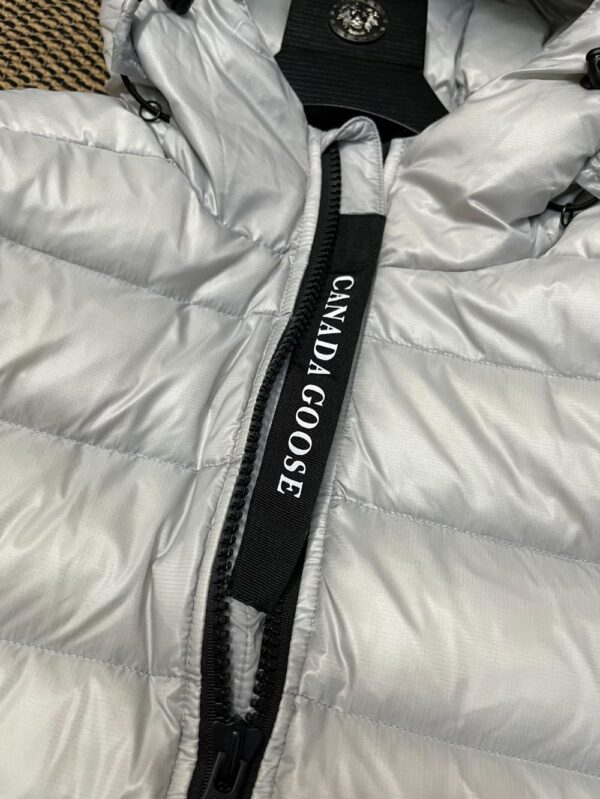 Canada Goose  2227 Grey