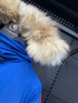 Canada Goose  Chilliwack 7999M  Blue