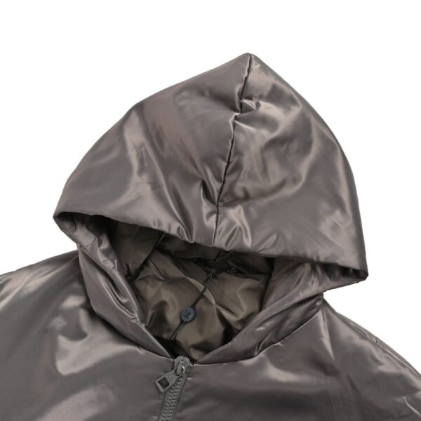 Louis Vuitton 24Fw arm bag down jacket