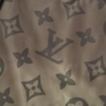 Louis Vuitton Warm down jacket with printed monogram