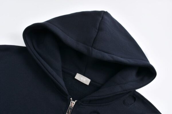 Dior 24Fw Dinosaur patch zip-up hoodie
