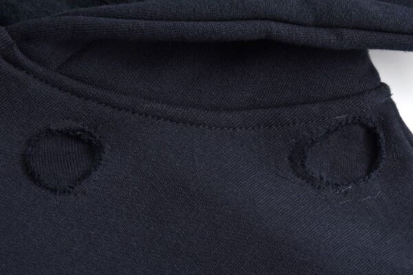 Dior 24Fw Dinosaur patch zip-up hoodie