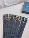 Dior Belt