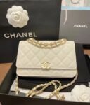 Chanel Bag  AP3019 19*12*3.5cm