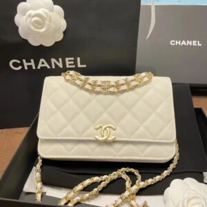 Chanel Bag  AP3019 19*12*3.5cm