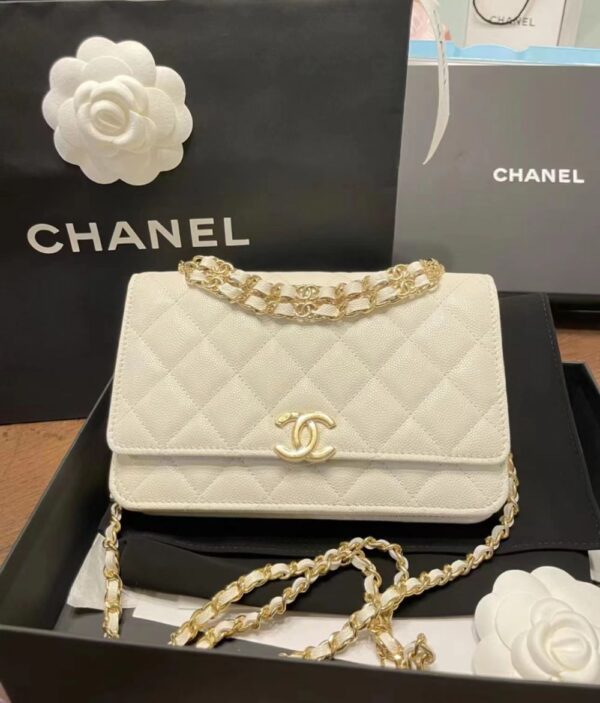 Chanel Bag  AP3019 19*12*3.5cm
