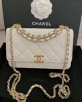Chanel Bag  AP3019 19*12*3.5cm
