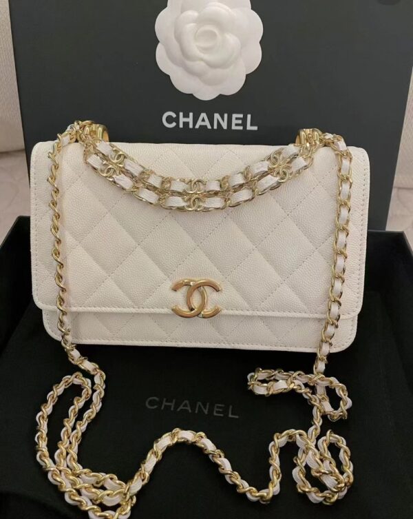 Chanel Bag  AP3019 19*12*3.5cm