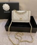 Chanel Bag  AP3019 19*12*3.5cm