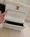 Chanel Bag  AP3019 19*12*3.5cm