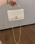 Chanel Bag  AP3019 19*12*3.5cm