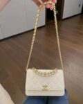 Chanel Bag  AP3019 19*12*3.5cm