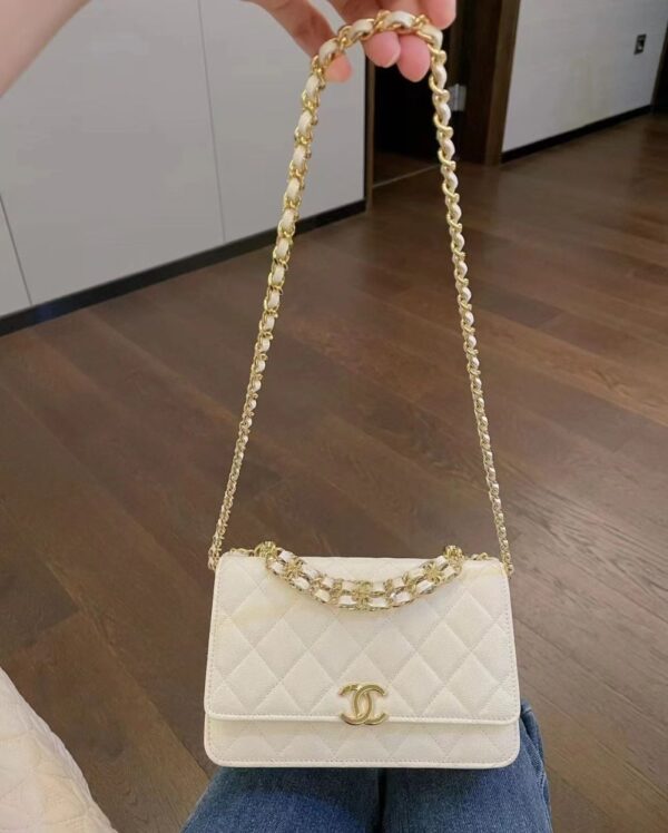 Chanel Bag  AP3019 19*12*3.5cm