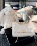 Chanel Bag  AP3019 19*12*3.5cm