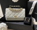 Chanel Bag  AP3019 19*12*3.5cm