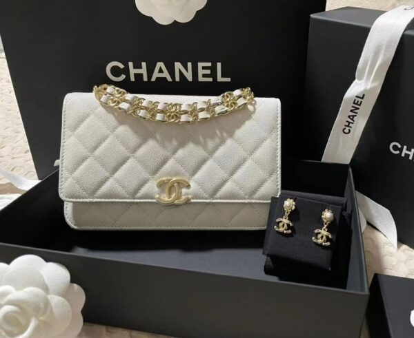 Chanel Bag  AP3019 19*12*3.5cm