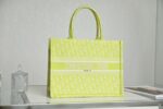 Dior Book Tote Oblique Fluorescent Green