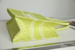 Dior Book Tote Oblique Fluorescent Green
