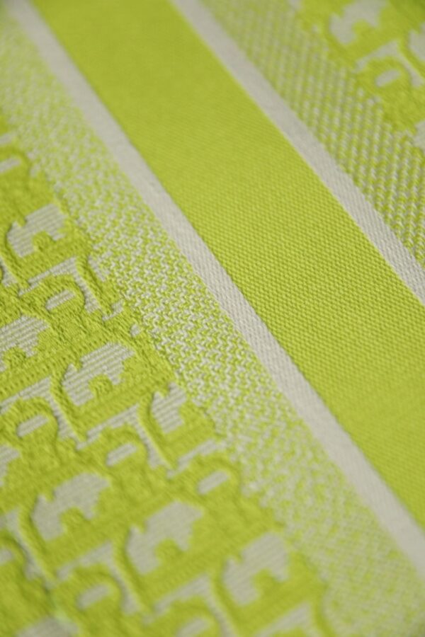 Dior Book Tote Oblique Fluorescent Green
