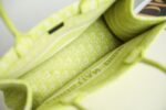 Dior Book Tote Oblique Fluorescent Green